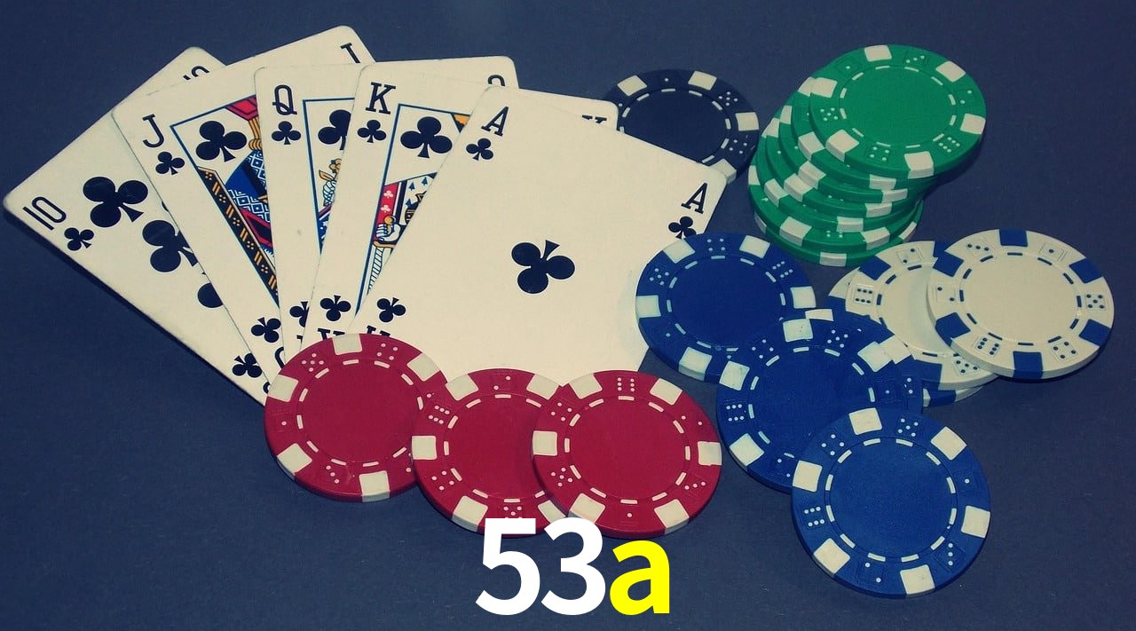 Platform Technology 53a